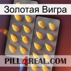 Золотая Вигра cialis2